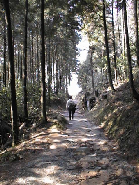 大和誕生 山辺の道を歩く: 風を待ちながら・・・