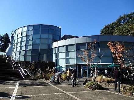 PB120932.jpg